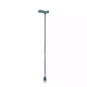 walking stick